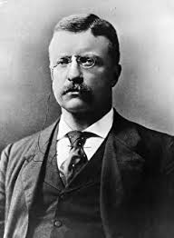 Theodore Roosevelt circa 1905, 26th US President. Prints from Fine Art  Storehouse