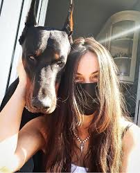 Must Know 13 Before And After Photos Of Adopted Dogs That Prove Love Can Move Mountains In 2020 Doberman Dogs Doberman Doberman Puppy