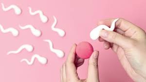 In vitro înseamnă în afara corpului. Cand Se RecomandÄ Fertilizarea In Vitro Èi Ce Presupune AceastÄ ProcedurÄ ExplicaÈiile Medicilor Video Mamaplus