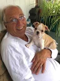 Boston terrier changes life