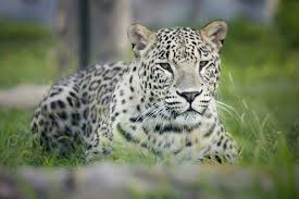 Dar totul se schimbă când. Top 20 Locuri De Vizitat In Oradea 2021