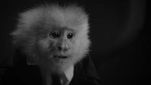 David lynch's films include mulholland drive, blue velvet, eraserhead, the elephant man. It S Time To Get Into The Surreal World Of David Lynch Nerdist