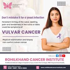 Image result for Vulvar Cancer