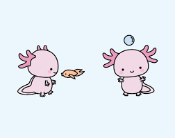 By continuing use of this website you are agreeing to use of our cookies. Kawaii Cute Axolotl Drawing Novocom Top