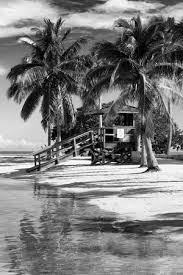 Download 52,205 black white beach photography stock illustrations, vectors & clipart for free or amazingly low rates! Beaches B W Photography Posters Prints Paintings Wall Art Allposters Com