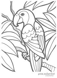 Check out impressive black and white images of beach scenes, balls, umbrellas. Coloring Pages Tropical Coloring Home