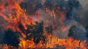 Resultado de imagen para incendio animado