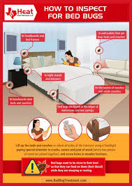 At all pro pest control, we work hard to bring each customer the best possible service and quality available. Bed Bug Treatment With Heat Bed Bug Exterminator Dallas Heat Pest