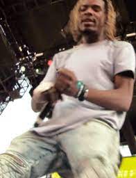 A common hit rapper who blew up from his hit single, trap queen. Fetty Wap Wikipedia