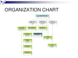 organizational chart of a coffee shop download