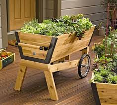 We did not find results for: 10 Easy Kitchen Herb Garden Ideas To Grow Culinary Herbs