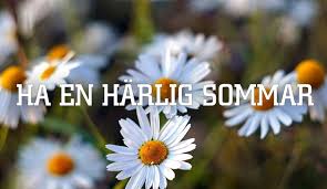 Trevlig sommar! – SFI D