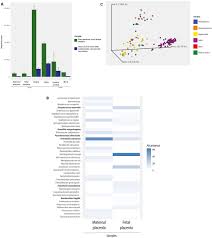 Exyi is the best video search engine, you can find all of the videos, watch, share, upload, download, videos which you want. Re Assessing Microbiomes In The Low Biomass Reproductive Niche O Callaghan 2020 Bjog An International Journal Of Obstetrics Amp Gynaecology Wiley Online Library