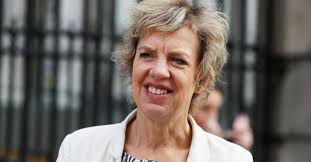 Troy still has questions to answer over 'careless disregard' of mechanisms,  says Bacik