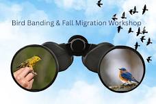 Engage with Nature: Bird Banding and Migration