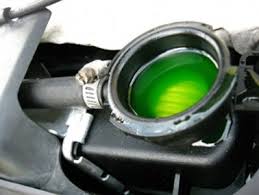 Green fluid leaking from your car is usually coolant. How To Check Your Car Antifreeze Levels Desjardins Insurance