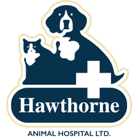 This business listing is provided by Pet Hospital Veterinarian Pet Services Grooming Training Troy Maryville St Jacob Marine Chamber Of Commerce Tmsm Chamber Of Commerce