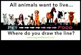 Pin By Erin Nelson On Veganism Is Social Justice Animal Illustration Kids Animal Quotes Animals