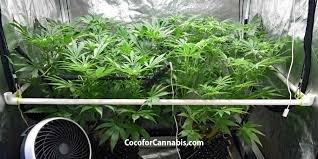 Ipower 600w hps mh dimmable grow light. How To Keep Grow Tent Walls From Sucking In Coco For Cannabis