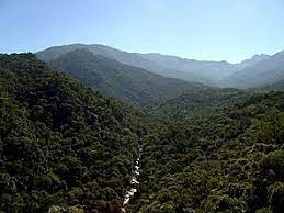 The species is listed as critically endangered by the iucn red list as the habitat. Itatiaia Wikipedia