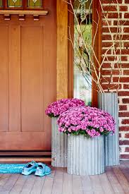 Annual flowers and annual plants can grow in flower beds, along borders, in container gardens and hanging. How To Grow Mums In Containers Better Homes Gardens