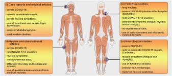 Image result for Muscle Weakness Causes
