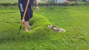 Underground water bubble is huge help during drought. Pennsylvania Man Pops A Water Bubble On His Lawn Daily Mail Online