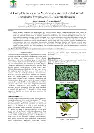 Image result for Commelina bracteosa