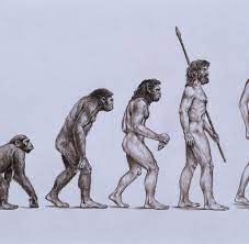 Deshalb haben wir es gar nicht erst probiert. Palaontologie Wer War Der Erste Aufrecht Gehende Mensch Welt