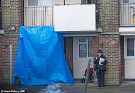 How croydon became a hotbed for vaccine misinformation. Gyj 6kxutoicvm