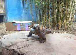 Happy Birthday, Kawan! 🎉...