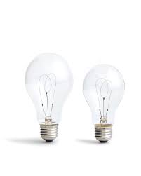 Image result for Ctenium longiglume