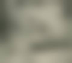 Civil War Casualties