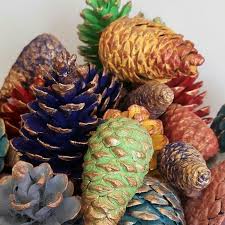 Kozalak Boyama Yilbasi Susleri Sus Kendin Yap