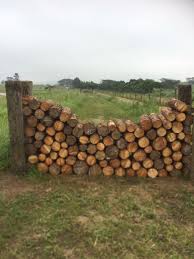 7 Wonderful Diy Ideas Wire Fence Door Fence Door Ideas Garden Fence And Gates Fence Door Ideas Fence Post C Cross Country Jumps Backyard Fences Country Fences