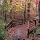 Indian River Park Hike event image