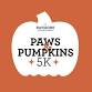 Paws & Pumpkins 5K - Hawk Ridge Park Event Image