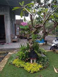 Membuat taman sederhana untuk membuat sebuah taman, kebanyakan orang hanya sekedar memanggil tukang taman dan menyerahkan semua tugas kepada mereka, padahal ada baiknya penghuni rumah juga turut aktif memberi pandangan. Cara Mudah Membuat Taman Sendiri Dirumah