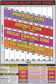 training heart rate zones professional fitness wall chart