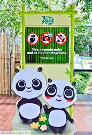 Free self parking is available onsite. Entree Kibbles Giant Panda Forest Saying Hi To Kai Kai Jia Jia River Safari Singapore
