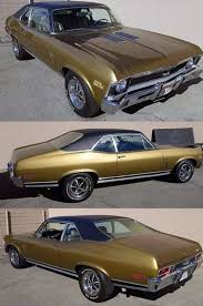 Image result for Autumn Gold 1963 Nova