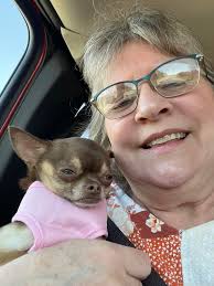 Axle turns 4 today! Happy birthday, buddy! 🥳