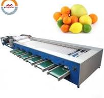 Good Price Automatic Fruit and Vegetable Size Sorting Grading Machine Auto  Fruits & Vegetables S