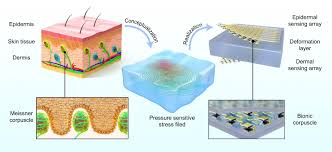 论文-可拉伸电子与纳米传感器研究中心