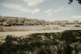 The unit is 37 km from strasbourg. Eine Greenery Hochzeit Im Zarten Bohostil Am Wasser