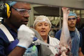 Federal cash for abattoir jobs