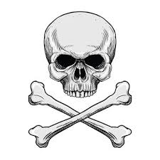 Comment dessiner un crâne facile. Tete De Mort Png Images Vecteurs Et Fichiers Psd Telechargement Gratuit Sur Pngtree