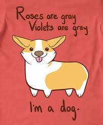 Pin By Tiki Nelson On Jokes In 2021 Funny Valentines Cards Weird Valentines Funny Valentines Card Messages