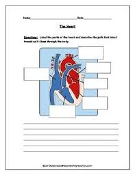 Image result for Cardiovascular Worksheets