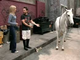 Birds Of War Always Sunny Episode Dee Charlie And Peter Nincompoop Always Sunny It S Always Sunny In Philadelphia Sunny In Philadelphia It S Always Sunny